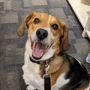 Fundraising Page: Beth Henry